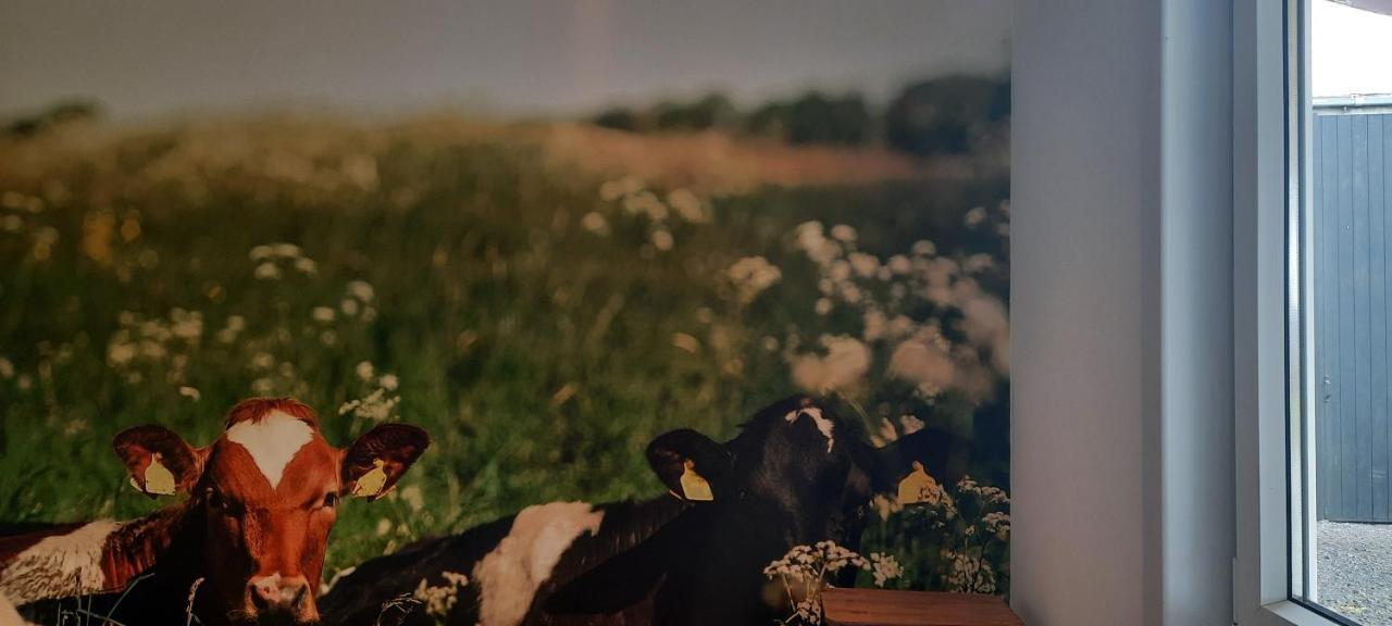 La Vache Au Lit Βίλα Damme Εξωτερικό φωτογραφία