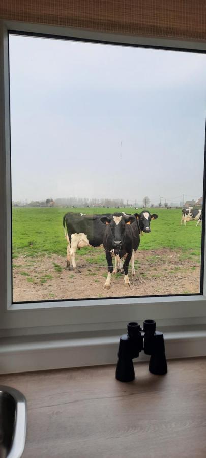 La Vache Au Lit Βίλα Damme Εξωτερικό φωτογραφία